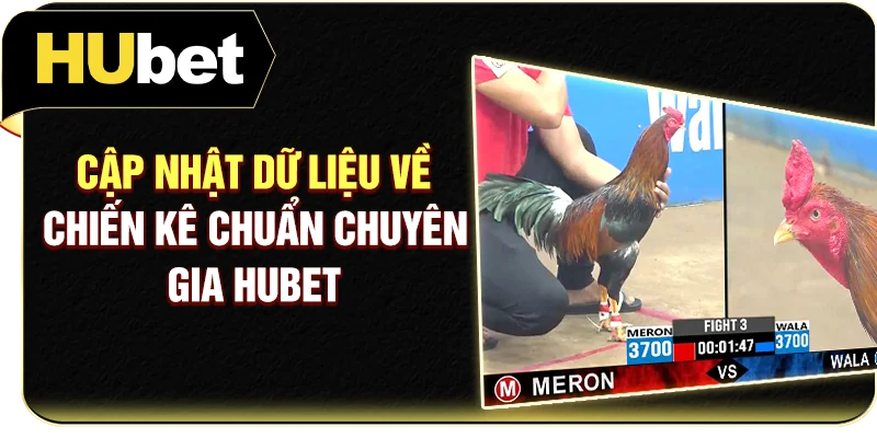 Cập nhật dữ liệu về chiến kê chuẩn chuyên gia Hubet