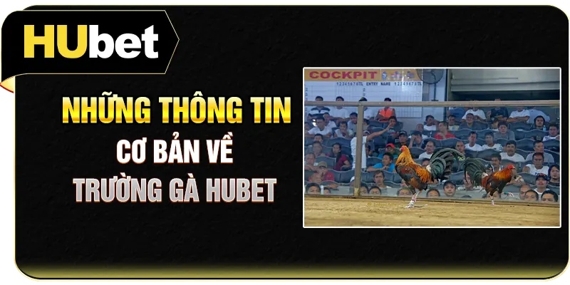 Những thông tin cơ bản về trường gà Hubet
