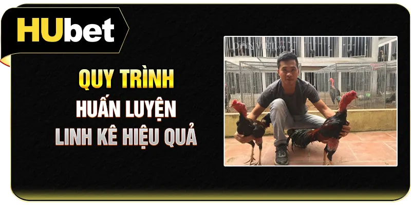 Quy trình huấn luyện linh kê hiệu quả