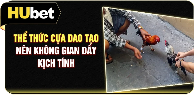 Thể thức cựa dao tạo nên không gian đầy kịch tính